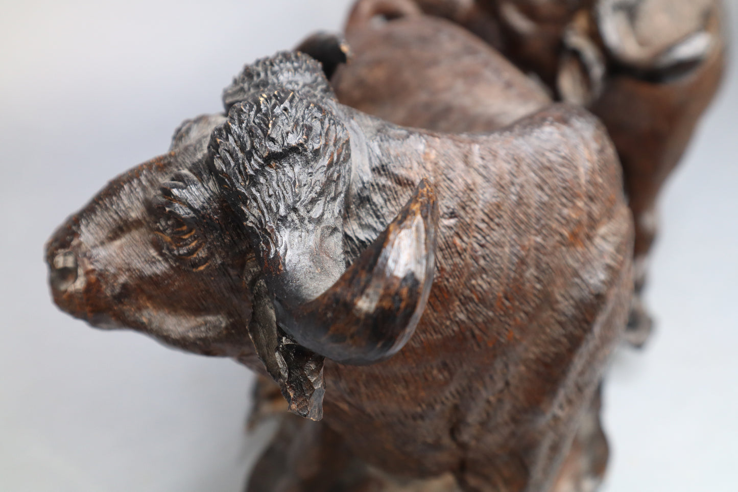 Solid Wood Sculpture of Cape Buffalo